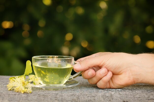 A man drinks tea from a linden tree