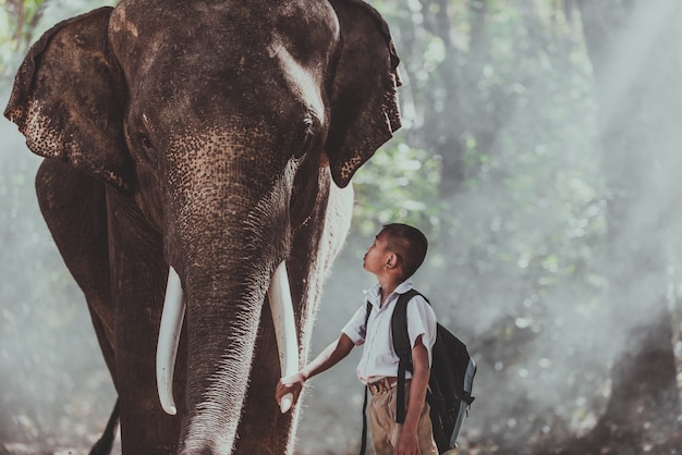 Man en kinderen gaan in de jungle met de olifant, levensstijl momenten uit Noord-Thailand