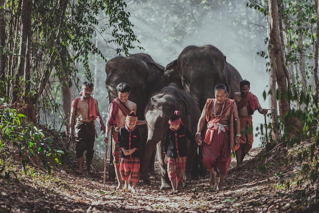 Man en kinderen gaan in de jungle met de olifant, levensstijl momenten uit noord-thailand