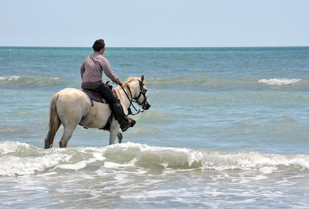 Man en paard in zee