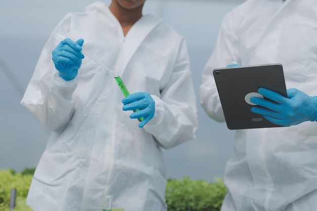 Man en vrouw gebruiken een reageerbuis en een pipet tijdens het werken in een kas