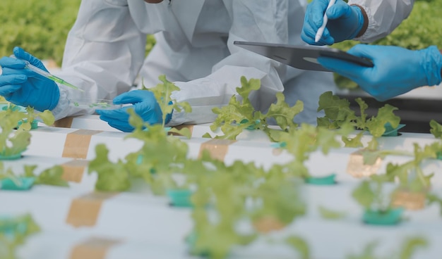 Man en vrouw gebruiken een reageerbuis en een pipet tijdens het werken in een kas