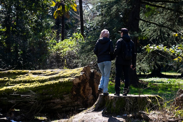 Man en vrouw op een grote boom in de parkfamilie