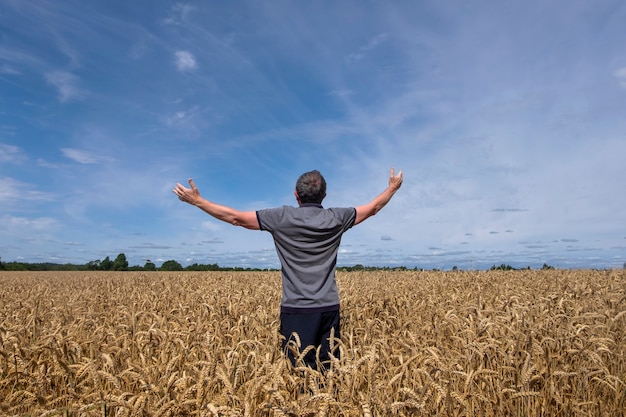 A man in farm field among ripe cereals and raised his arms