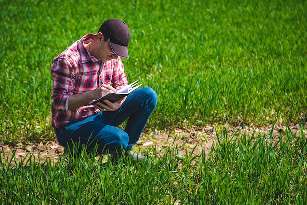 男性農家が畑で小麦がどのように成長するかをチェックします選択と集中