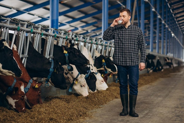 Man farmer at cowshed drinking milk