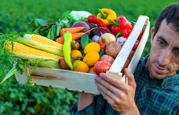 ある男性農家が野菜を手に持っています。セレクティブフォーカス。食べ物。