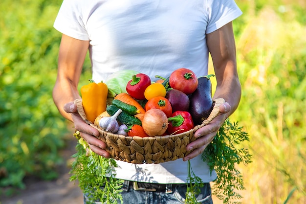 A man farmer holds vegetables in his hands. Selective focus.