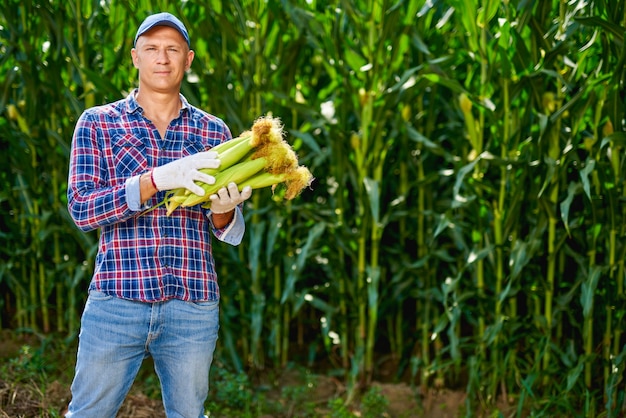 Man farmer with a crop of maize.