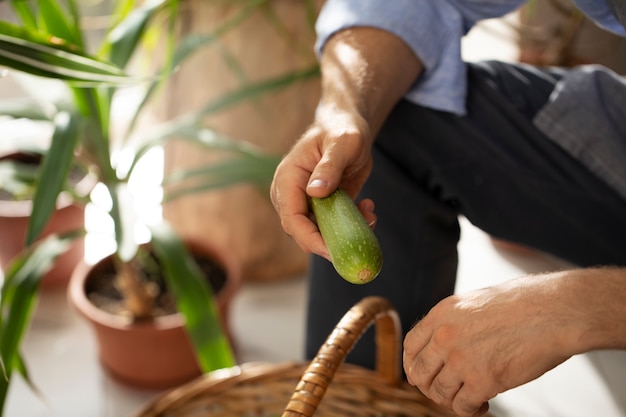 写真 屋内の庭で野菜を育てる男性