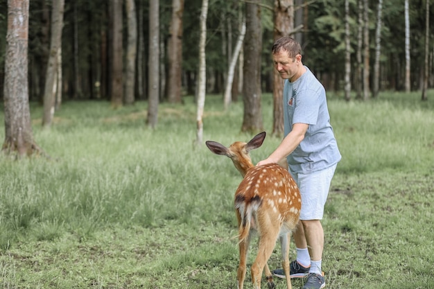 A man feeding cute spotted deer bambi at contact zoo. Happy traveler man enjoys socializing with wild animals in national park in summer.