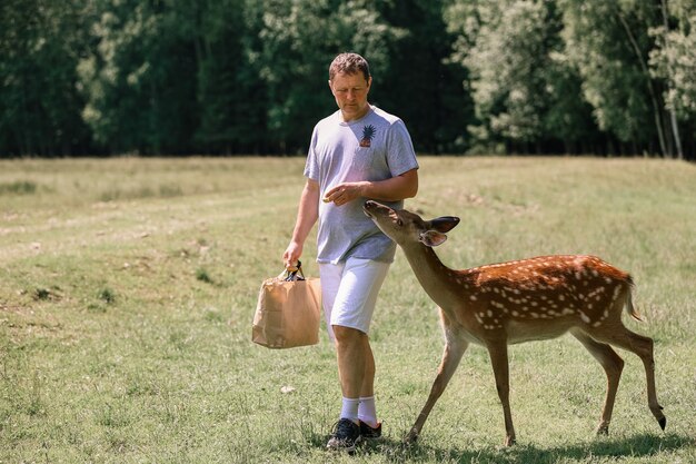 A man feeding cute spotted deer bambi at contact zoo. Happy traveler man enjoys socializing with wild animals in national park in summer.