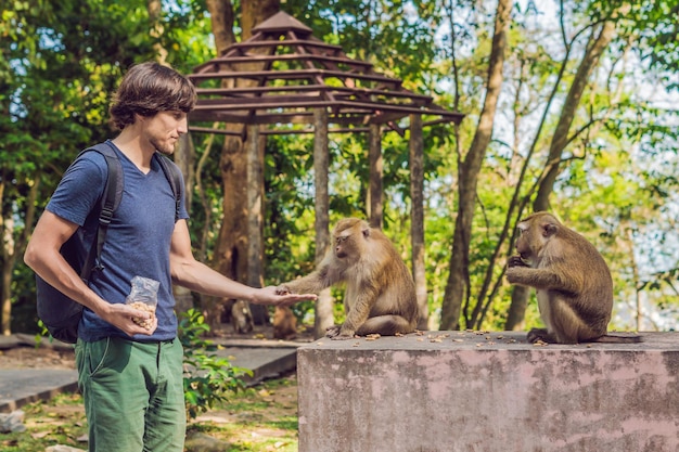 Photo the man feeds the monkey whith nuts