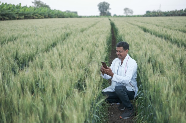 A man in a field of wheat smiles while standing in a field