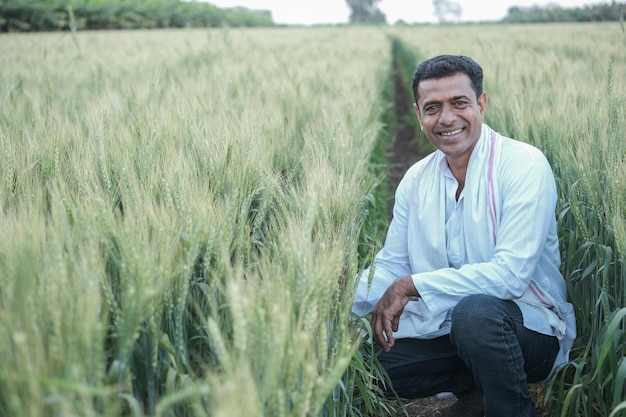 A man in a field of wheat smiles while standing in a field