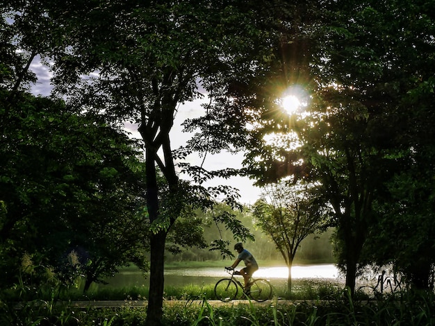 Man fietst op een boom