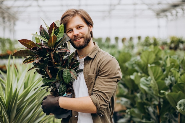 Man florist working in green house