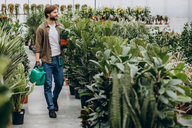 Man florist working in green house