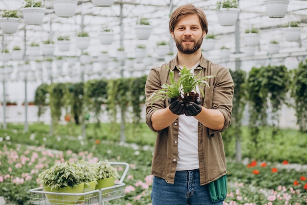 man florist working in green house