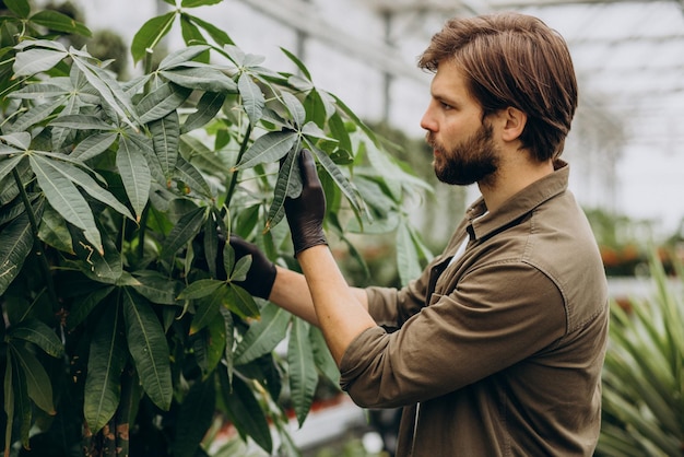 Man florist working in green house