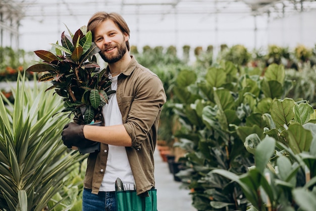 Man florist working in green house