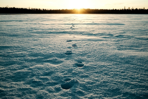 Man footprints on the snow on a very cold morning