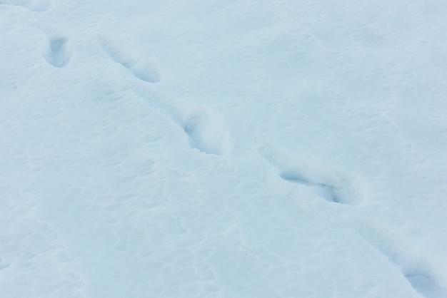 Man footprints on white deep snow