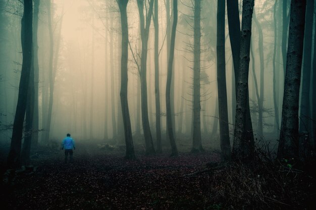 Photo man in forest