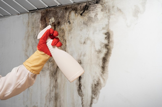 L'uomo ha trovato della muffa sul muro del tuo edificio residenziale dopo la ristrutturazione