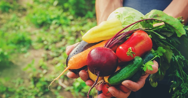 A man in the garden with vegetables in his hands. 