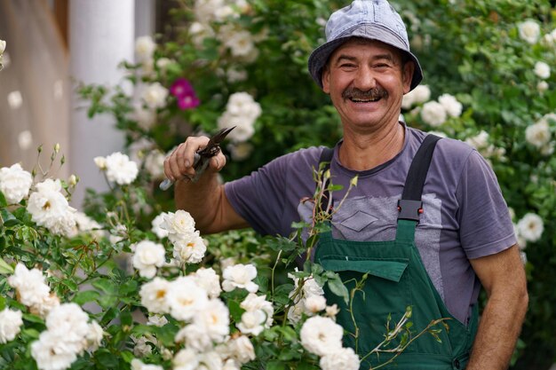 Foto il giardiniere dell'uomo ha tagliato il cespuglio di rose nel meraviglioso giardino in una giornata di sole