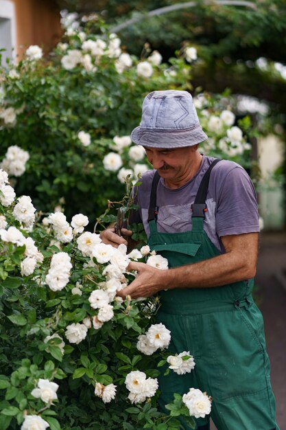 Foto il giardiniere dell'uomo ha tagliato il cespuglio di rose nel meraviglioso giardino in una giornata di sole