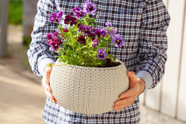 Foto giardiniere uomo che tiene fiori di violetta in vaso in giardino