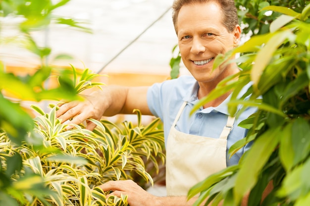 Man gardening. Handsome mature man in apron gardening and looking at camera