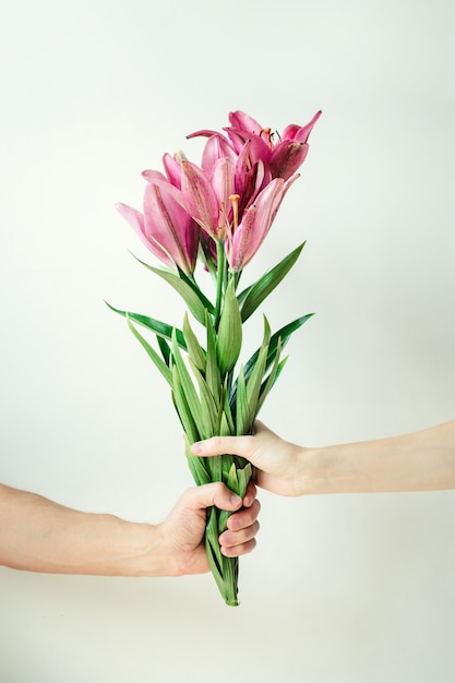 Man gives flowers to woman. Male and female hand holding bouquet on white background