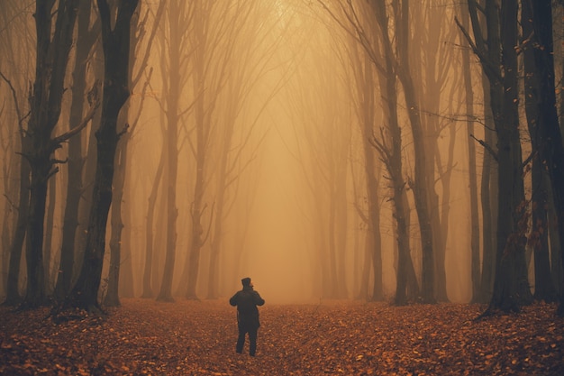 L'uomo si è perso in una spettrale foresta nebbiosa