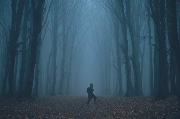 L'uomo si è perso in una spettrale foresta nebbiosa