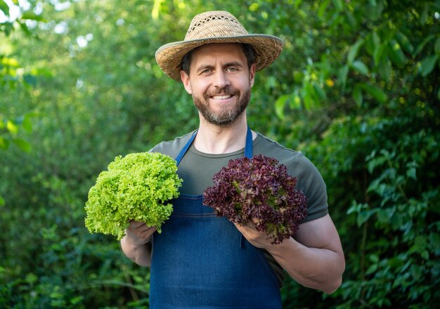 Man greengrocer in straw hat with lettuce leaves organic food