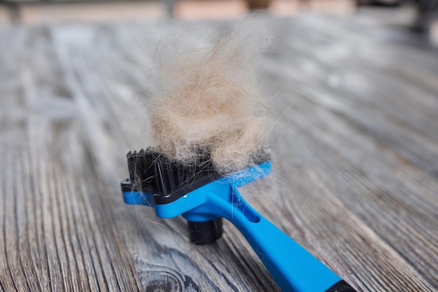 Man grooming cat with special gloves Pet care