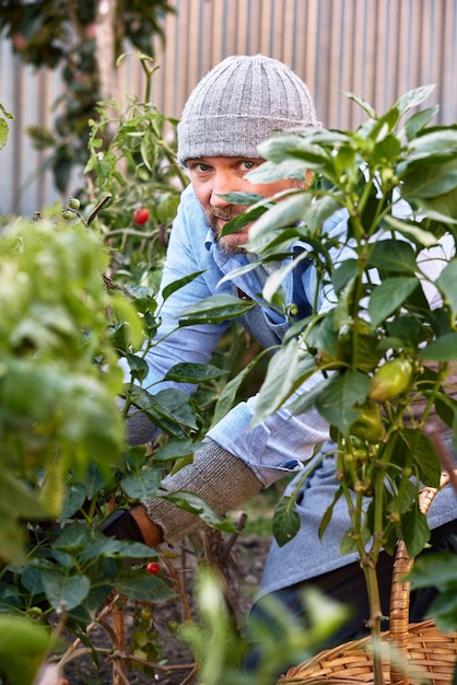 写真 屋外で野菜を栽培し栽培する男