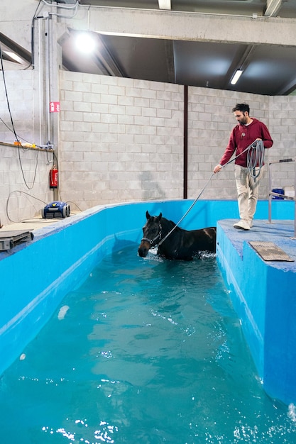 A man guides a black horse through a hydrotherapy pool to aid muscle recovery