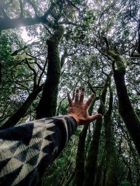 Man hand against green dark forest trees woods in outdoor leisure activity. Concept of environment and save world planet. People and adventure lifestyle