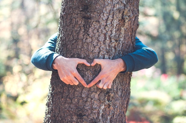 Man hand heart in tree in the forest