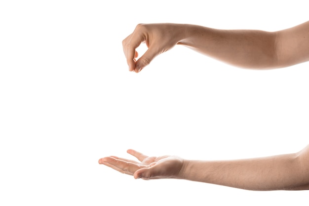 Рука человека держать, схватить или поймать какой-то объект, жест рукой. Изолированные на белом фоне.