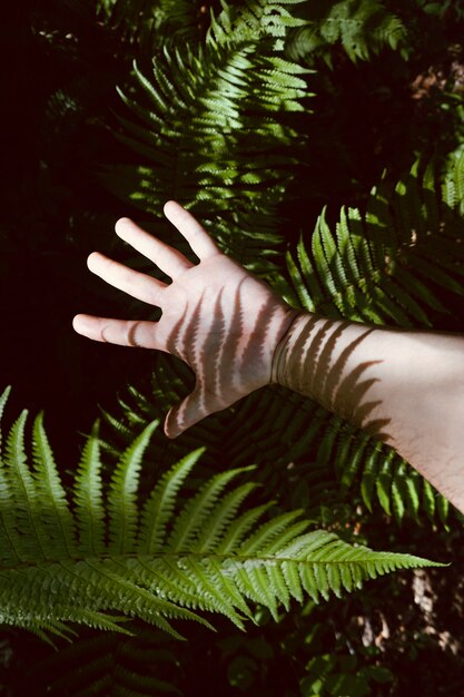 man hand in de schaduwen met groene bladeren