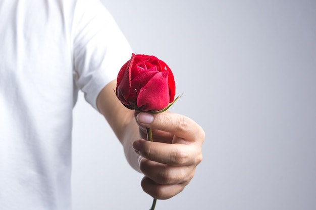 A man hand with red rose flower