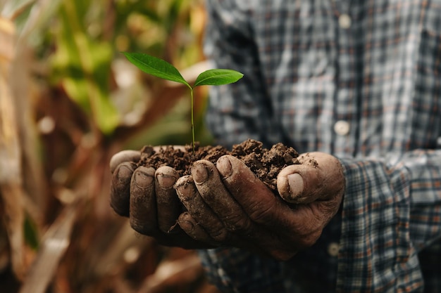 Man handen grijpen aarde met een plantThe concept van landbouw en zakelijke groeixA