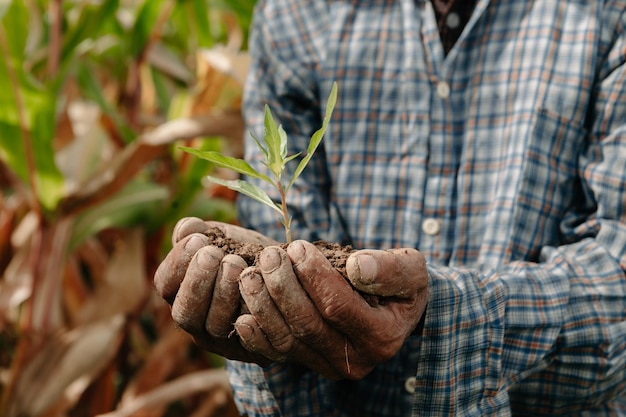 男の手が植物で地球をつかむ農業とビジネスの成長のコンセプトxA