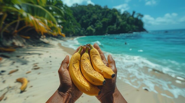 Man hands holding fresh bananas on the beach Closeup