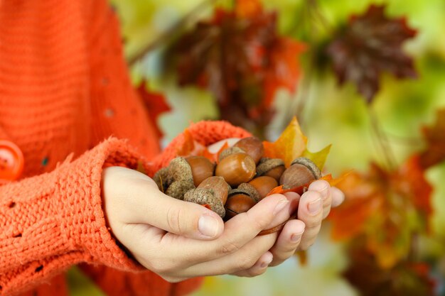 Man hands with acorns on bright background